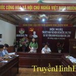 Đô Lương: Tổng kết 5 năm thực hiện 3 đề án: 295 – 343 – 704 của thủ tướng chính phủ giai đoạn 2010 – 2015.